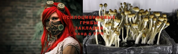 MDMA Кодинск